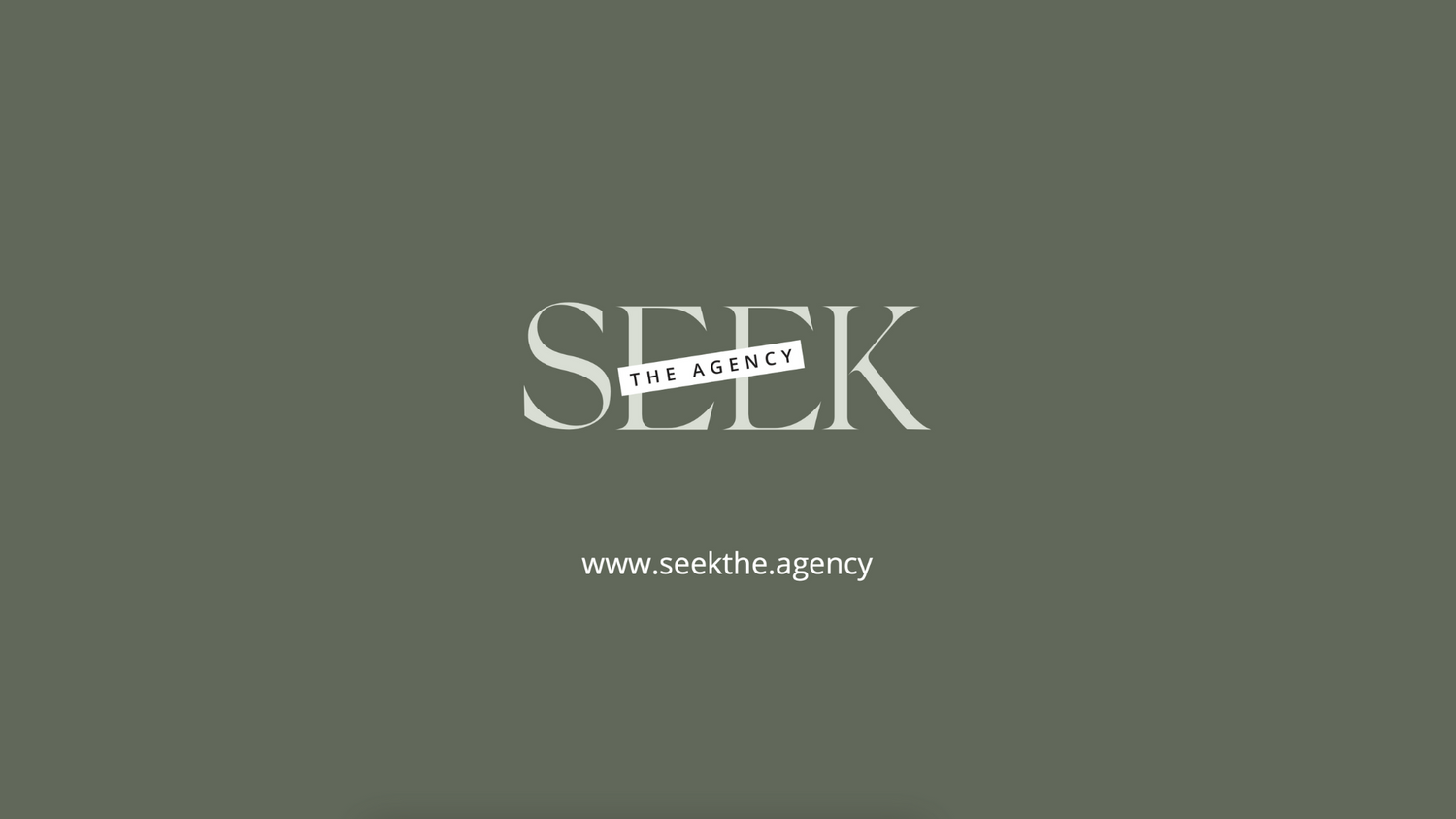 Seek the Agency, a Woman-Owned Social Media Management & Content Creation Business (Closed in 2023)